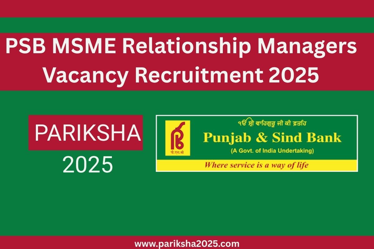 PSB MSME Relationship Managers Vacancy Recruitment 2025 @punjabandsind.bank.in